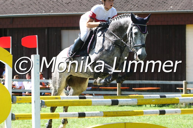 109M7298_Cassiopaja_Spring L.JPG